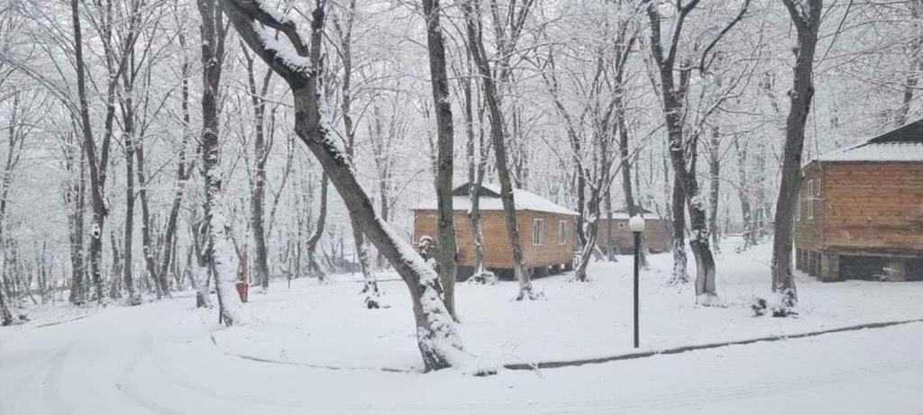 Woodencottages * Qeleduz