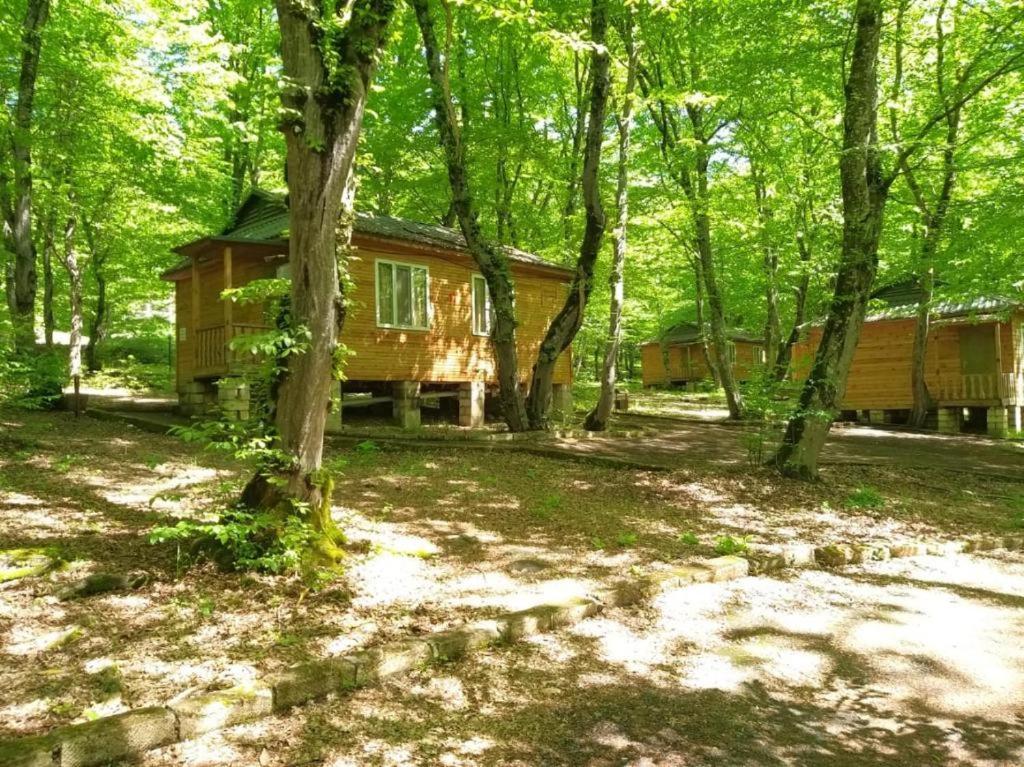 Woodencottages Qeleduz