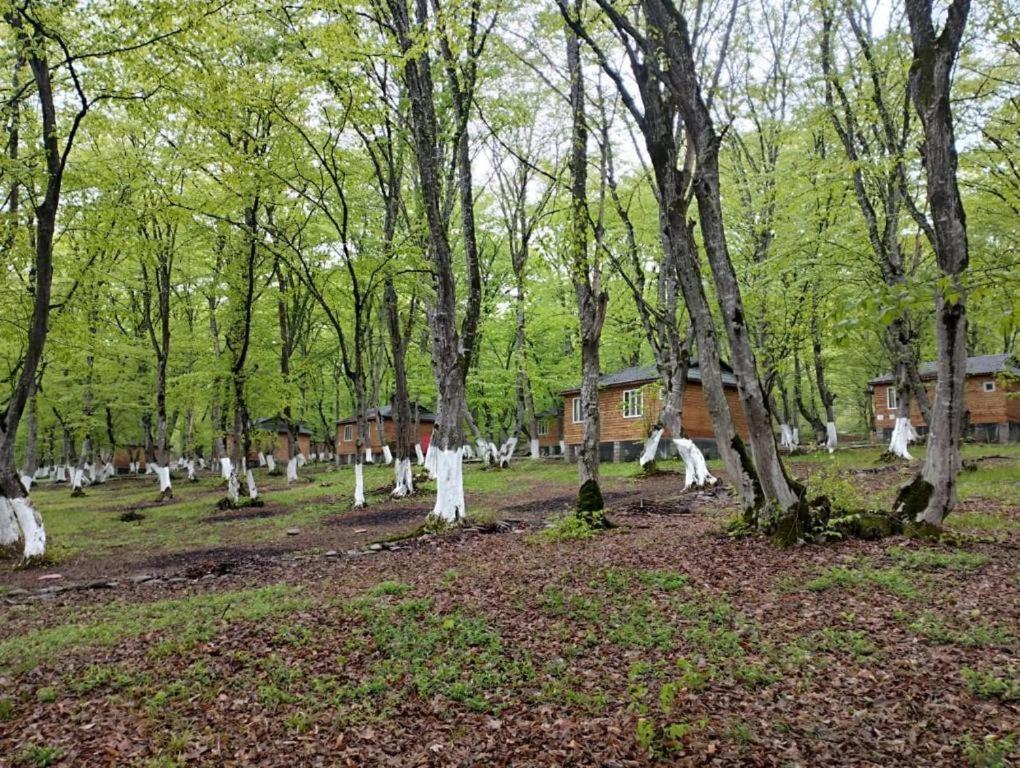 Woodencottages *